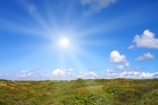 Idyllic dunes with sunlight