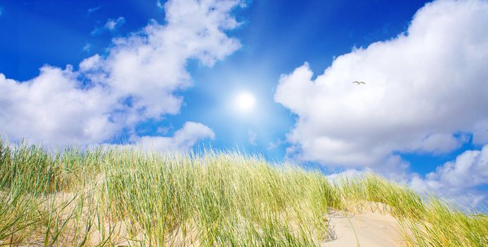 Idyllic dunes with sunlight