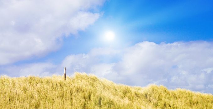 Idyllic dunes with sunlight