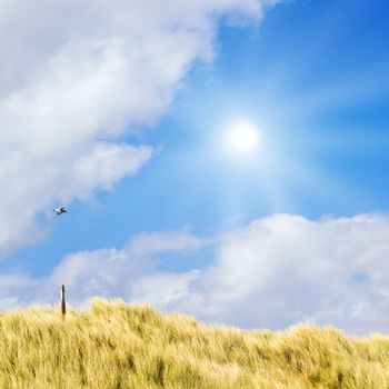 Idyllic dunes with sunlight