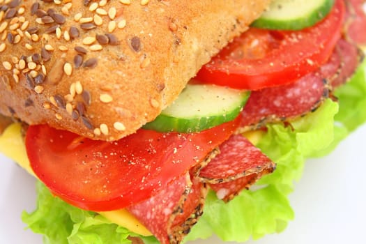 Fresh sandwich with salami cheese and vegetables