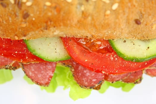 Fresh sandwich with salami cheese and vegetables