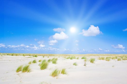 Beach and dunes with beautiful sunlight