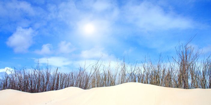 Idyllic dunes with sunlight