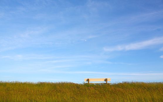 Idyllic lawn with bench