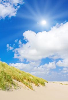 Beach and dunes with beautiful sunlight