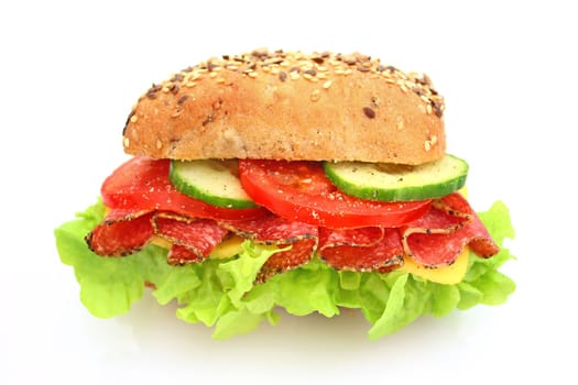 Fresh sandwich with salami cheese and vegetables