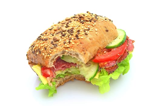 Fresh sandwich with salami cheese and vegetables