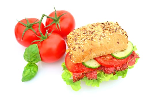 Fresh sandwich with salami cheese and vegetables