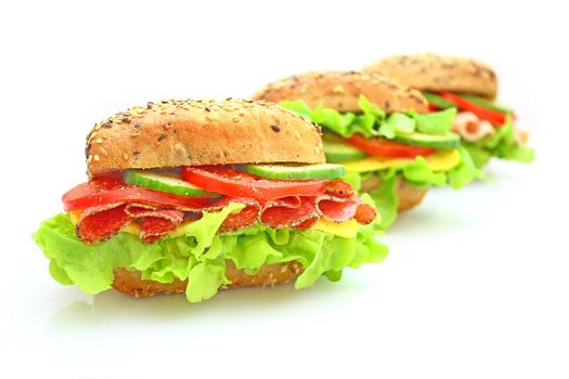 Fresh sandwich with vegetables