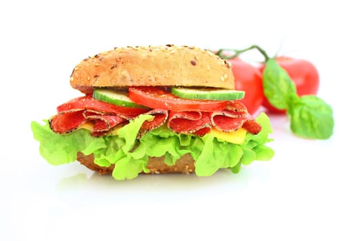 Fresh sandwich with salami cheese and vegetables