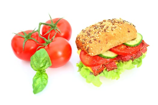 Fresh sandwich with salami cheese and vegetables