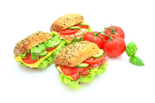 Fresh sandwich with vegetables