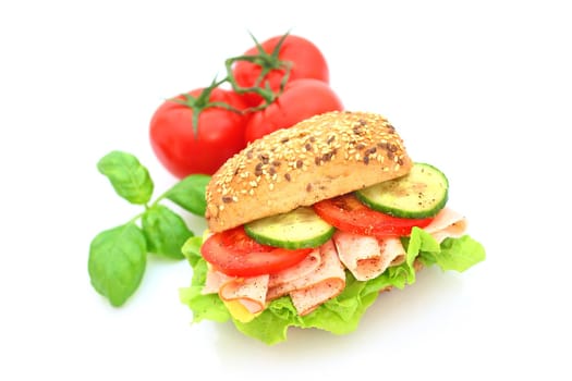 Fresh sandwich with ham and cheese and vegetables