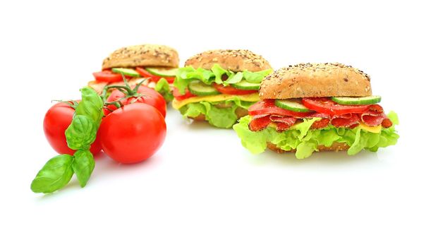 Fresh sandwich with vegetables