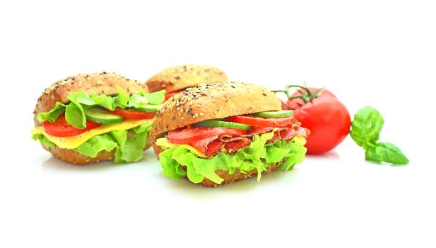 Fresh sandwich with vegetables