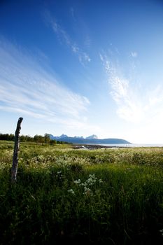 A landscape in northern Norway with grass, ocean and a mountain