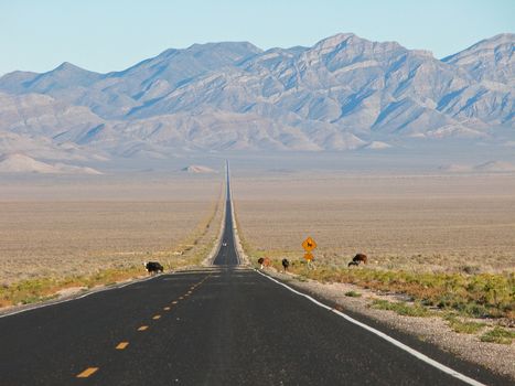 The solitude of the long highway, Nevada