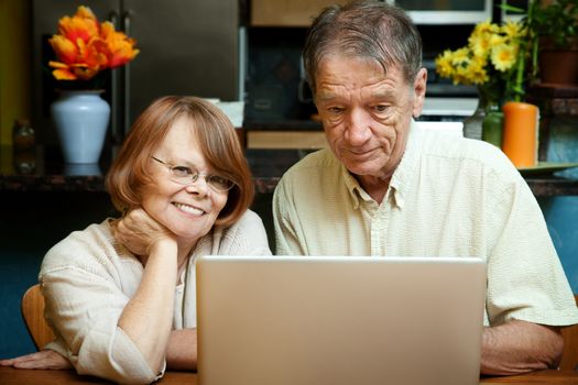Senior couple using silver laptop computer at home