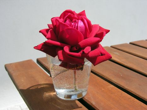 A red rose on a restaurant table, Italy