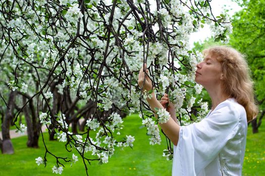 The blonde girl in white dress and apple-tree with white flowers
