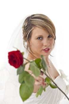 beautiful young bride in a wedding dress with a veil holding a rose