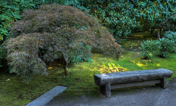 Japanese garden stone bench next to maple done as HDR image