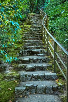 Japanese garden stone staircase covered in moss and surrounded by green foilage in HDR