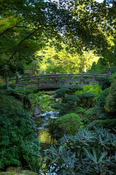 Japanese garden wood bridge surrounded by green foilage in hdr