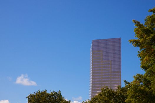 Skyscraper against a blue nearly cloudless sky with a tree border