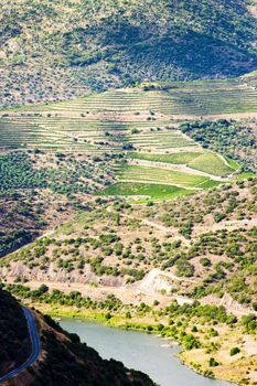 Douro Valley, Portugal