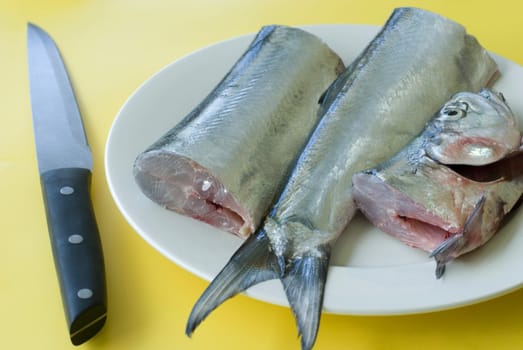 a plate of fresh ribbon fish waiting to be filleted