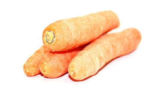 carrot