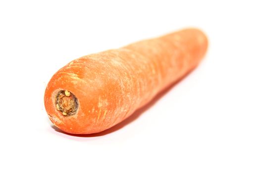 carrot