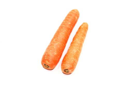 carrot