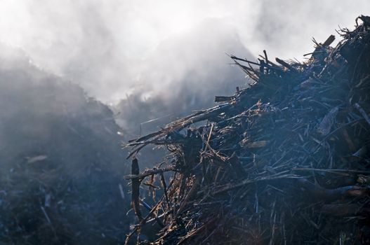 compost heap