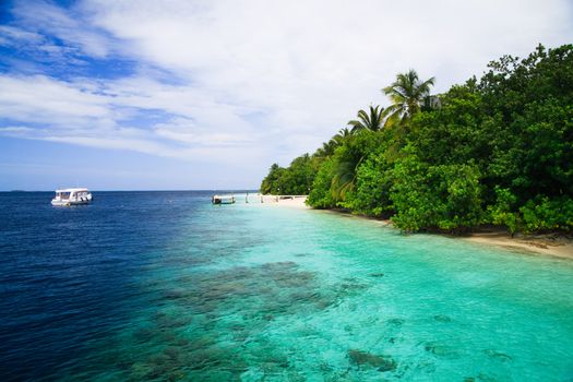 Tropical Paradise at Maldives with palms and blue sky