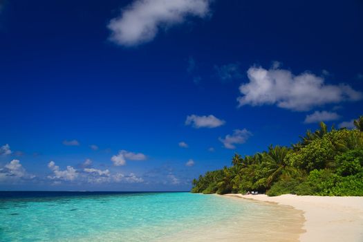 Tropical Paradise at Maldives with palms and blue sky