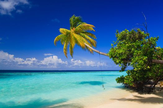 Tropical Paradise at Maldives with palms and blue sky