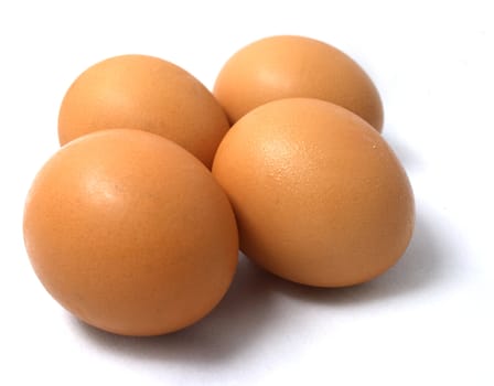 Four eggs on white background