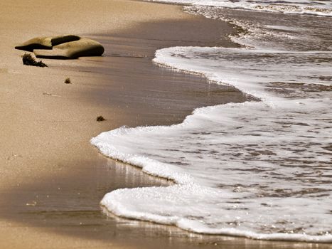 Detail of pebbles washed ashore on Mediterranean beach