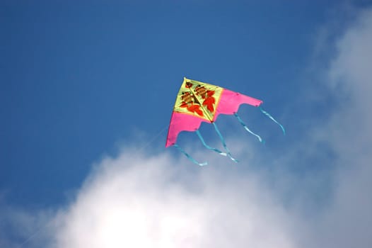 Kite toy on  a blue sky