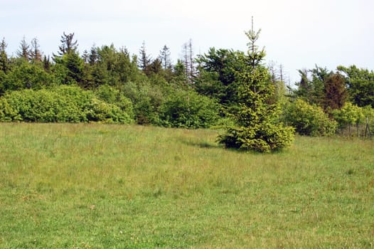 green landscape in Eastern Europe