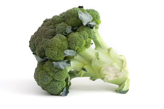 fresh green broccoli on a white background