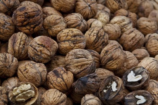 walnuts at a market stall in Prague