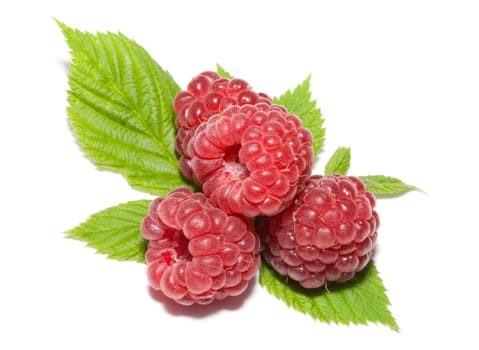 heap of ripe raspberries with leaves, isolated on white