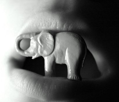 Little elephant figure in sensual lips