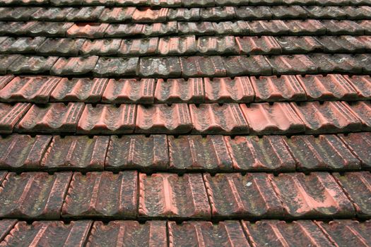 roof coated by rooftiles in Ston (Croatia)