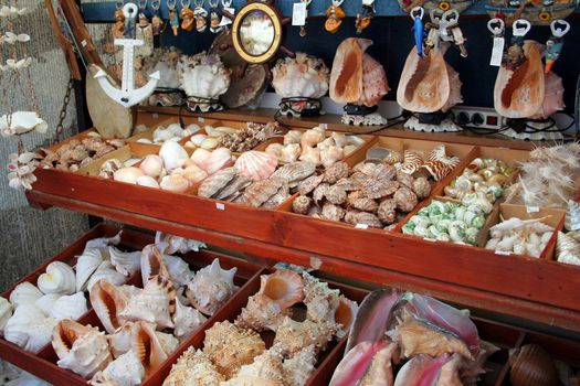 snail shells and other souvenirs in the market in Croatia