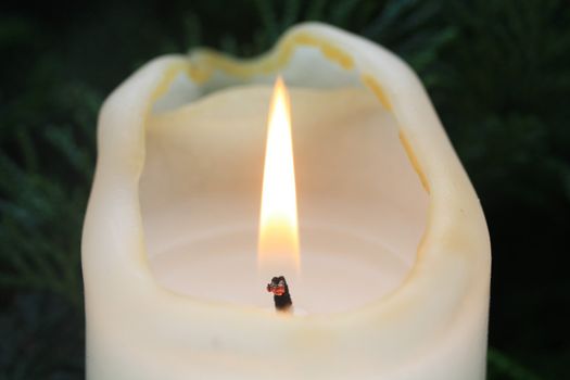 Close up of a flame of a ivory white candle